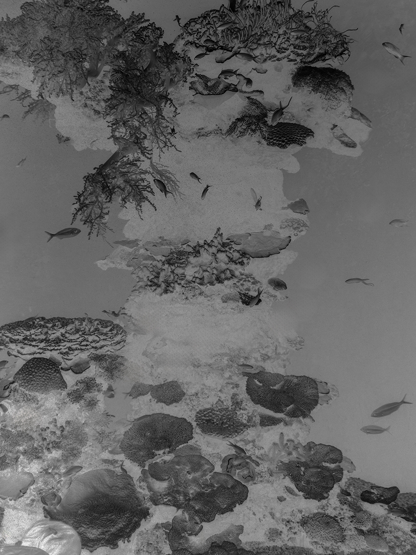 2022_01_05_Mallorca_palma aquarium_feindaten-48