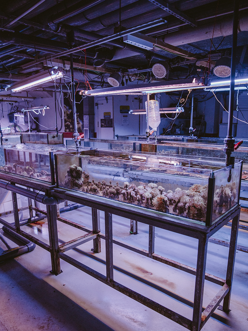 2022_01_05_Mallorca_palma aquarium_feindaten-63