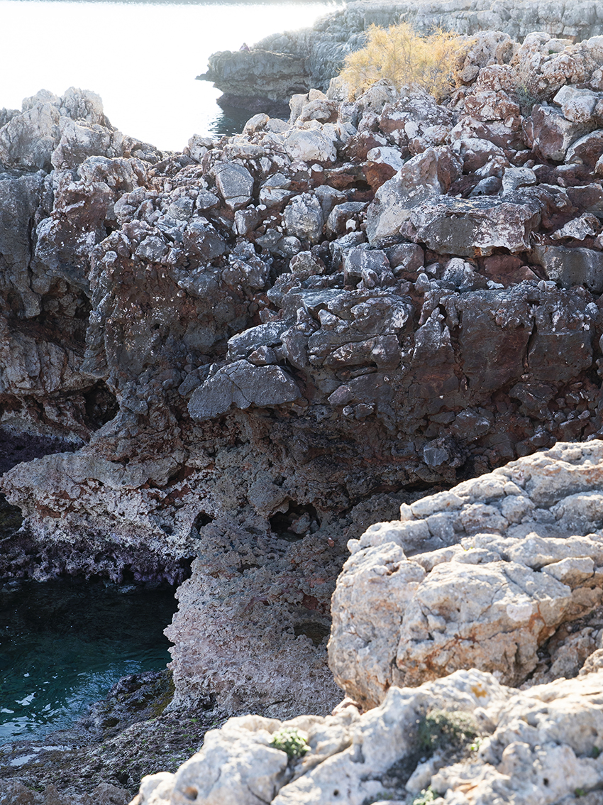 2022_01_17_18_S‘lllot