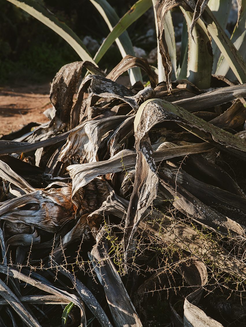 2022_01_17_18_Sllot_feindaten-152