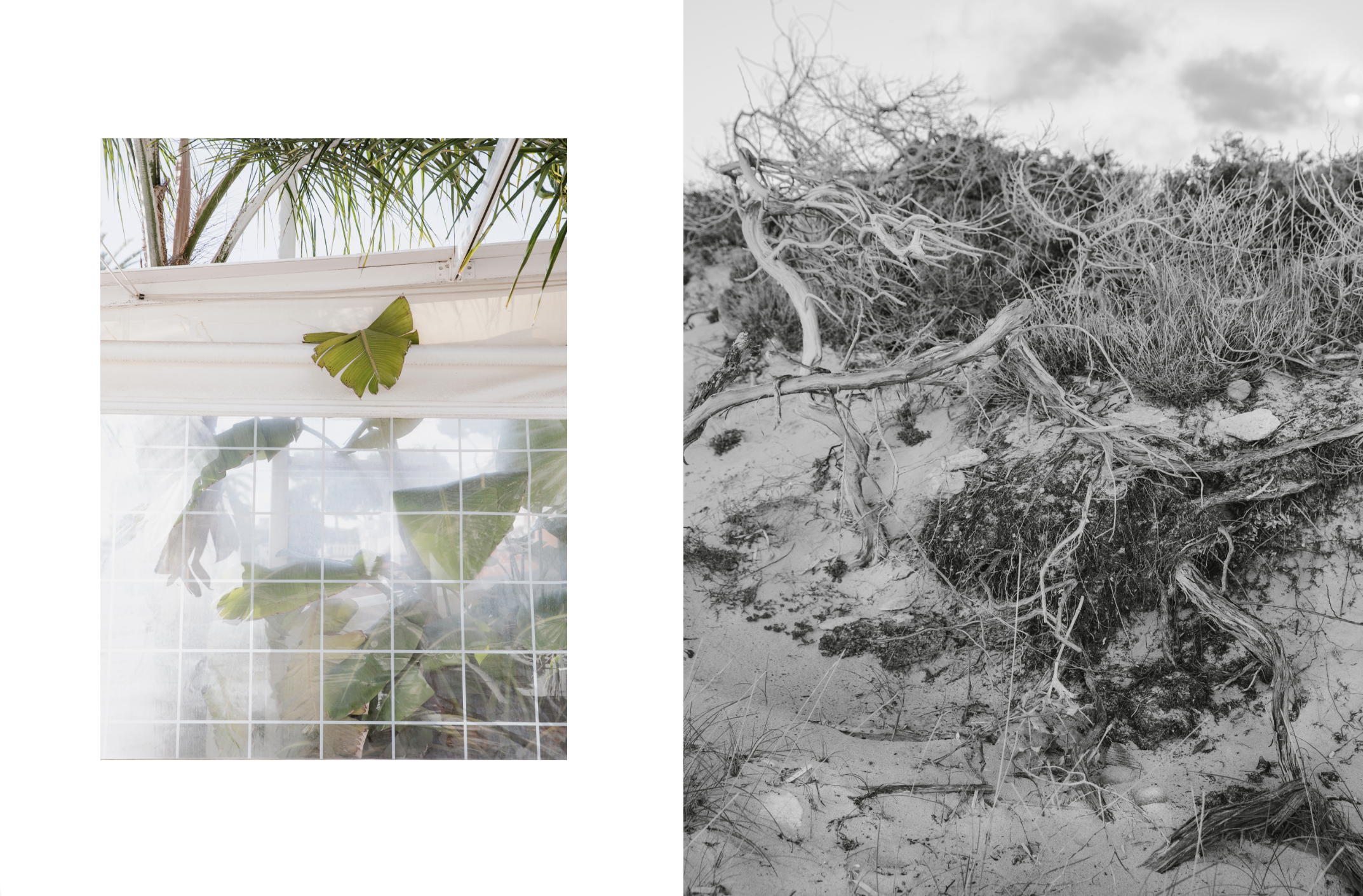 Bildschirmfoto 2026-02-22 um 18.37.39