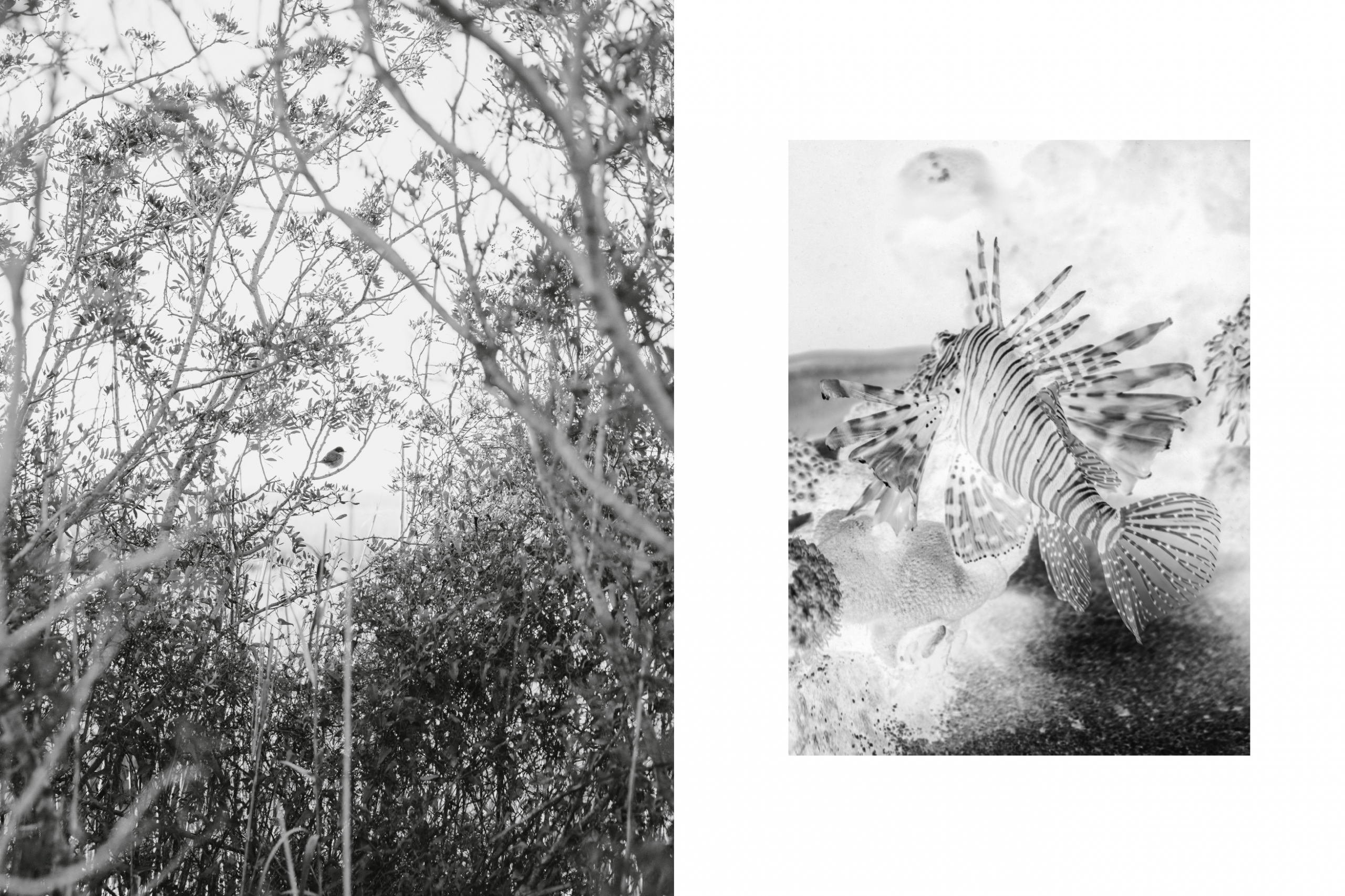 Bildschirmfoto 2026-02-22 um 18.41.21