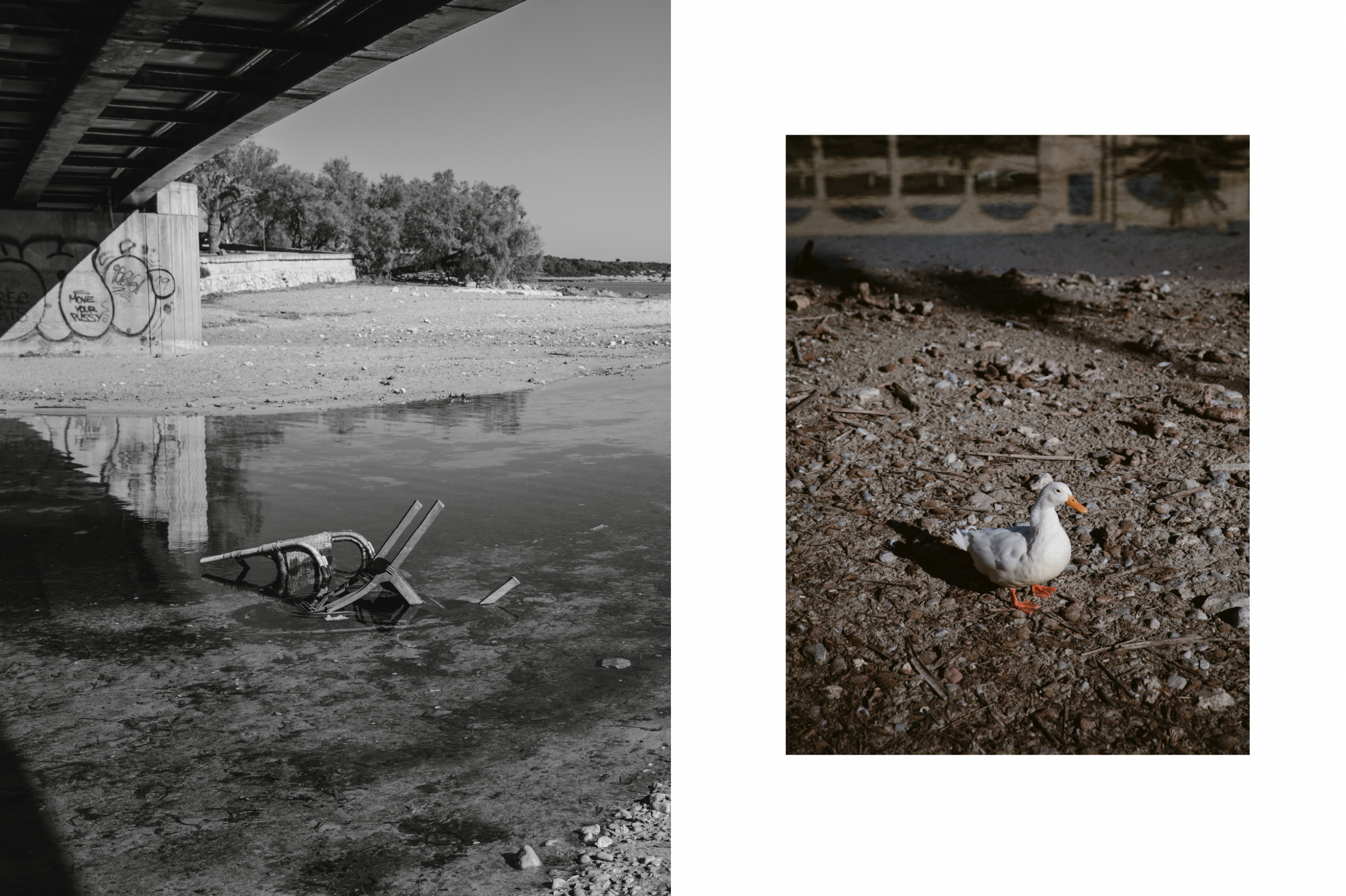 Bildschirmfoto 2026-02-22 um 18.41.53