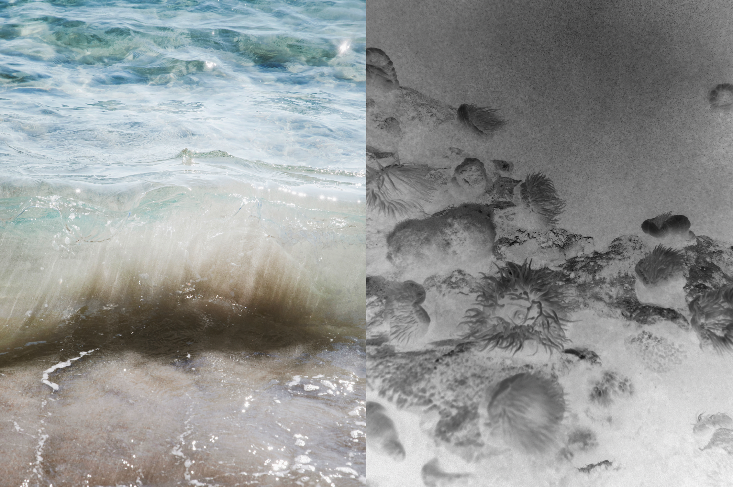 Bildschirmfoto 2026-02-22 um 18.42.13