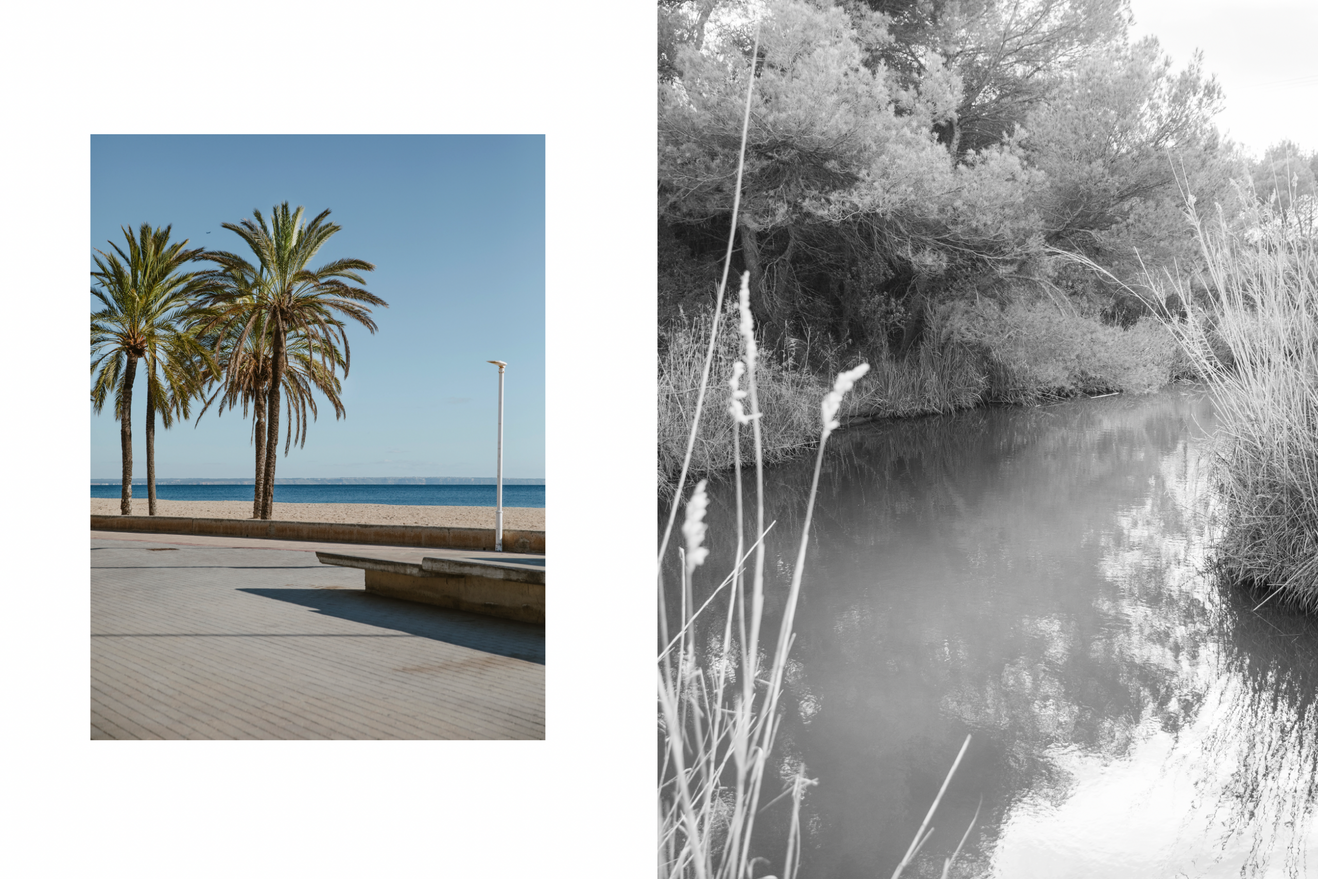 Bildschirmfoto 2026-02-22 um 18.42.27