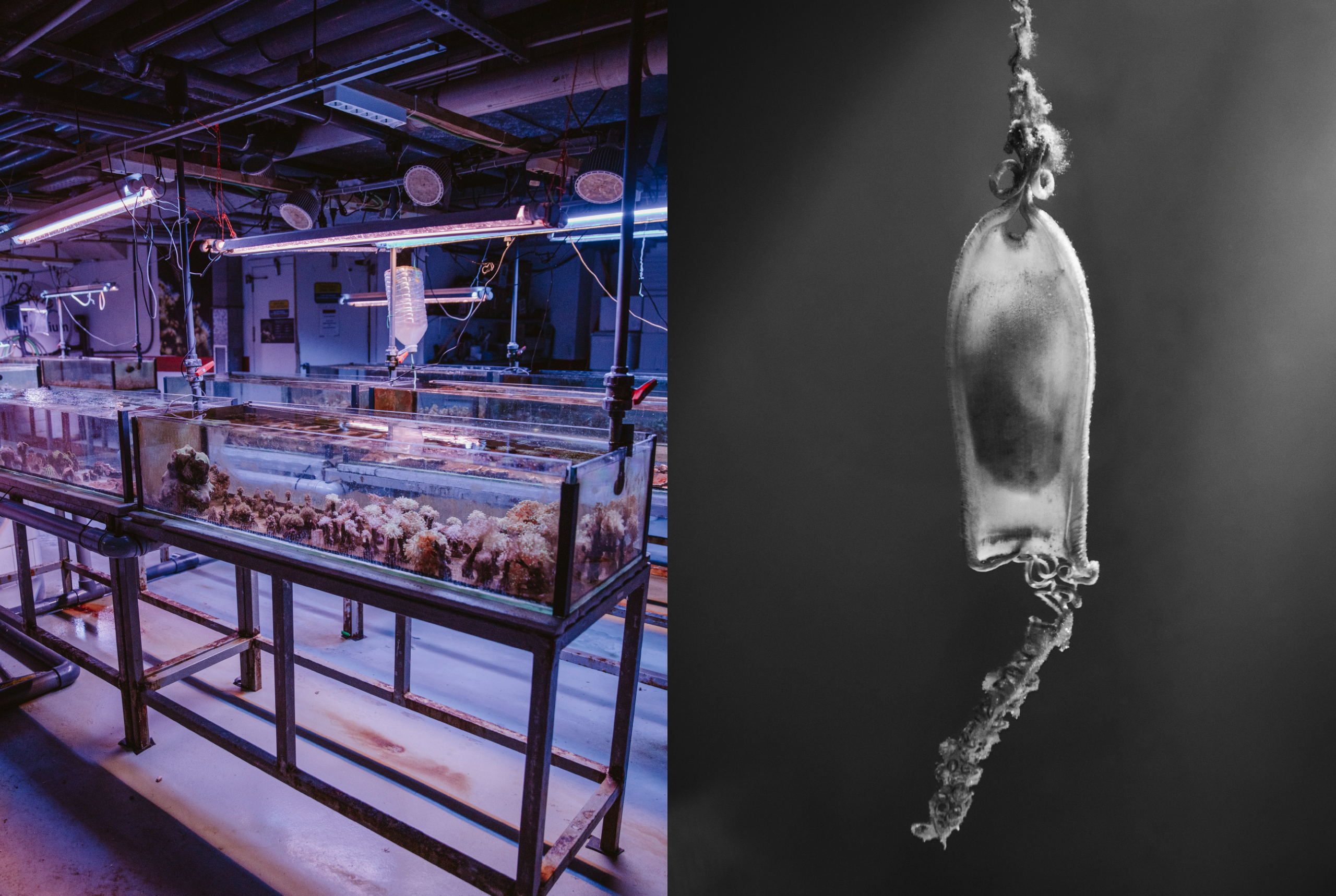 Bildschirmfoto 2026-02-22 um 18.43.18