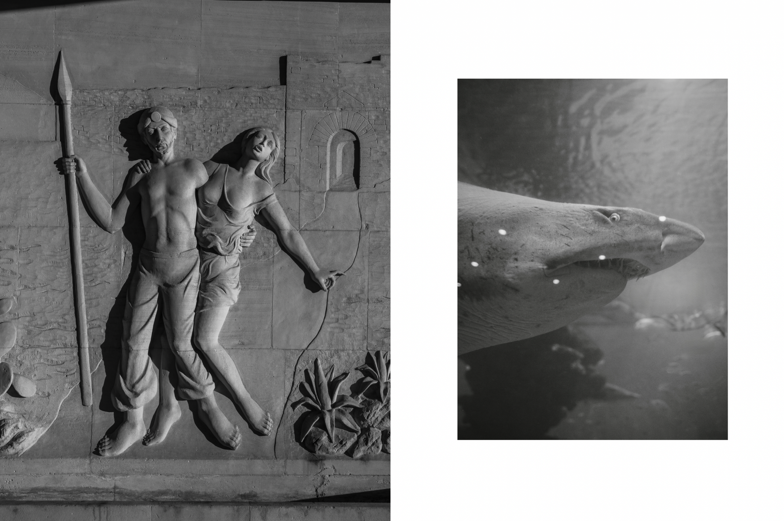 Bildschirmfoto 2026-02-22 um 18.43.31