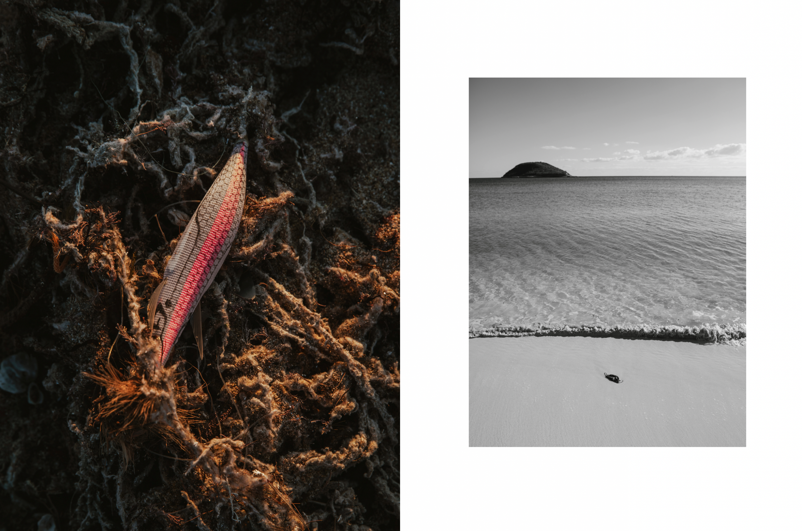 Bildschirmfoto 2026-02-22 um 18.44.01