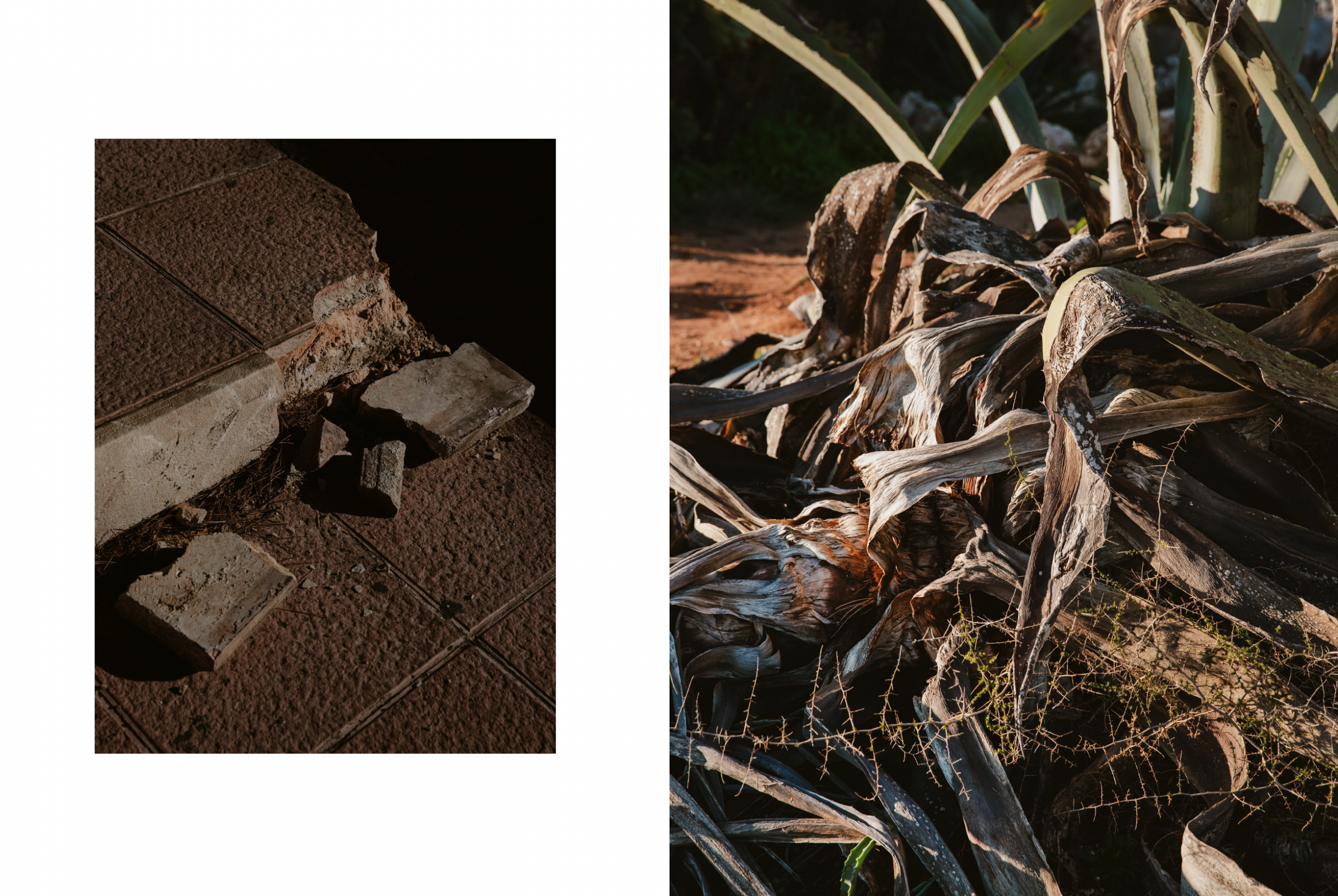 Bildschirmfoto 2026-02-22 um 18.44.27