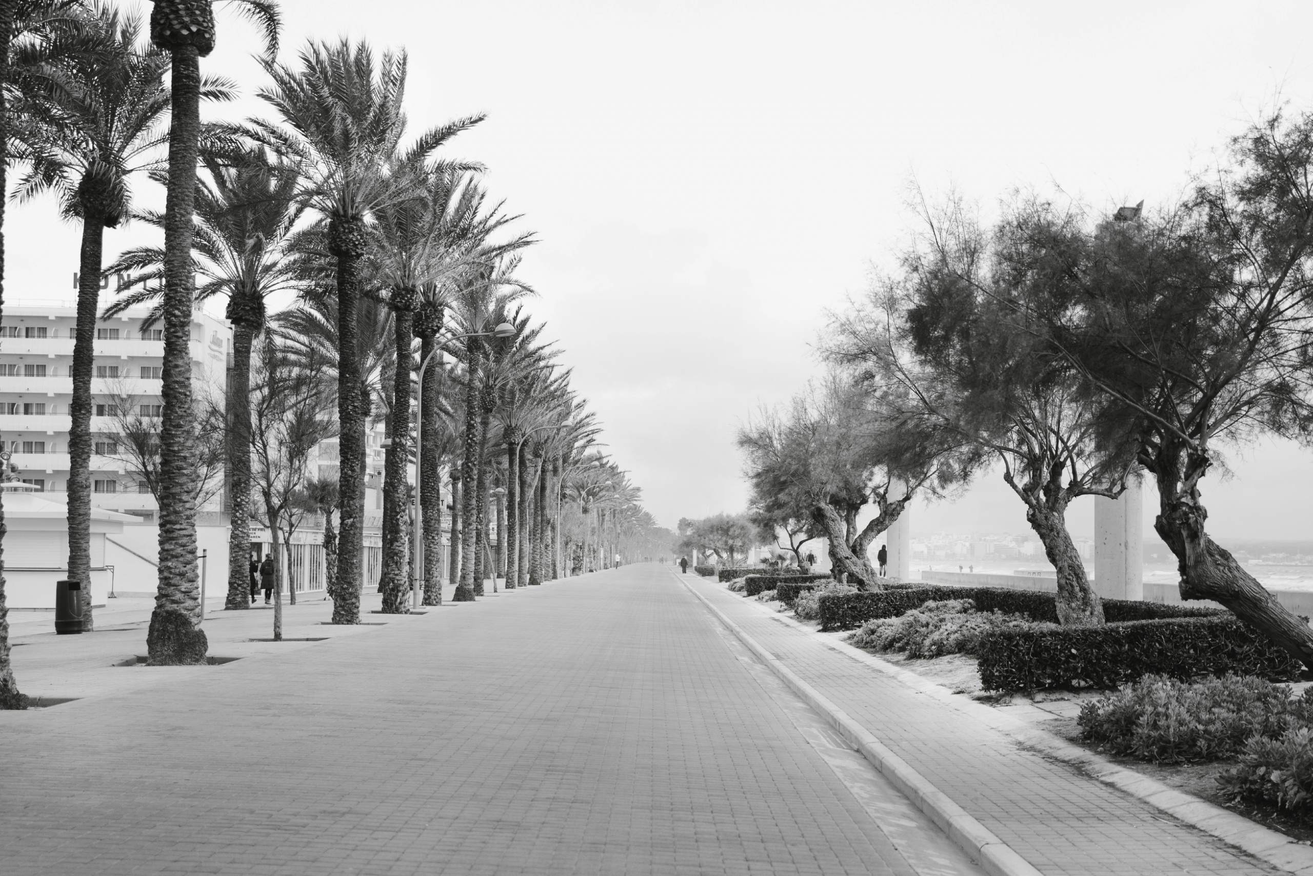 Bildschirmfoto 2026-02-22 um 18.45.29