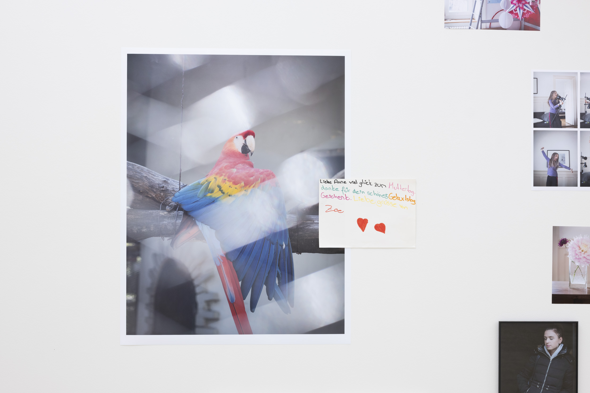 ©NoraMartin_BelleVue_2502_BlackCottonCandy_AusDok_073