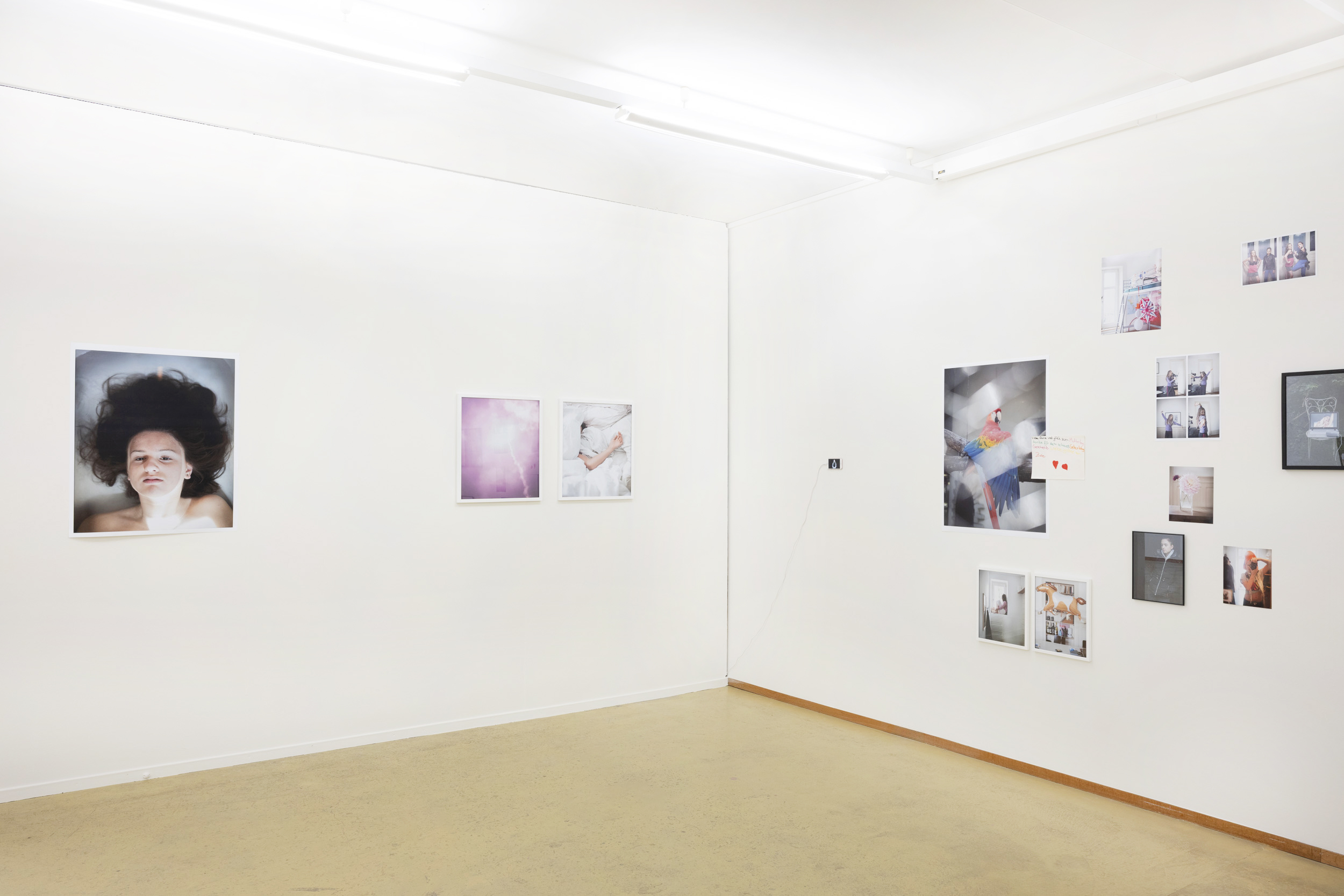 ©NoraMartin_BelleVue_2502_BlackCottonCandy_AusDok_080