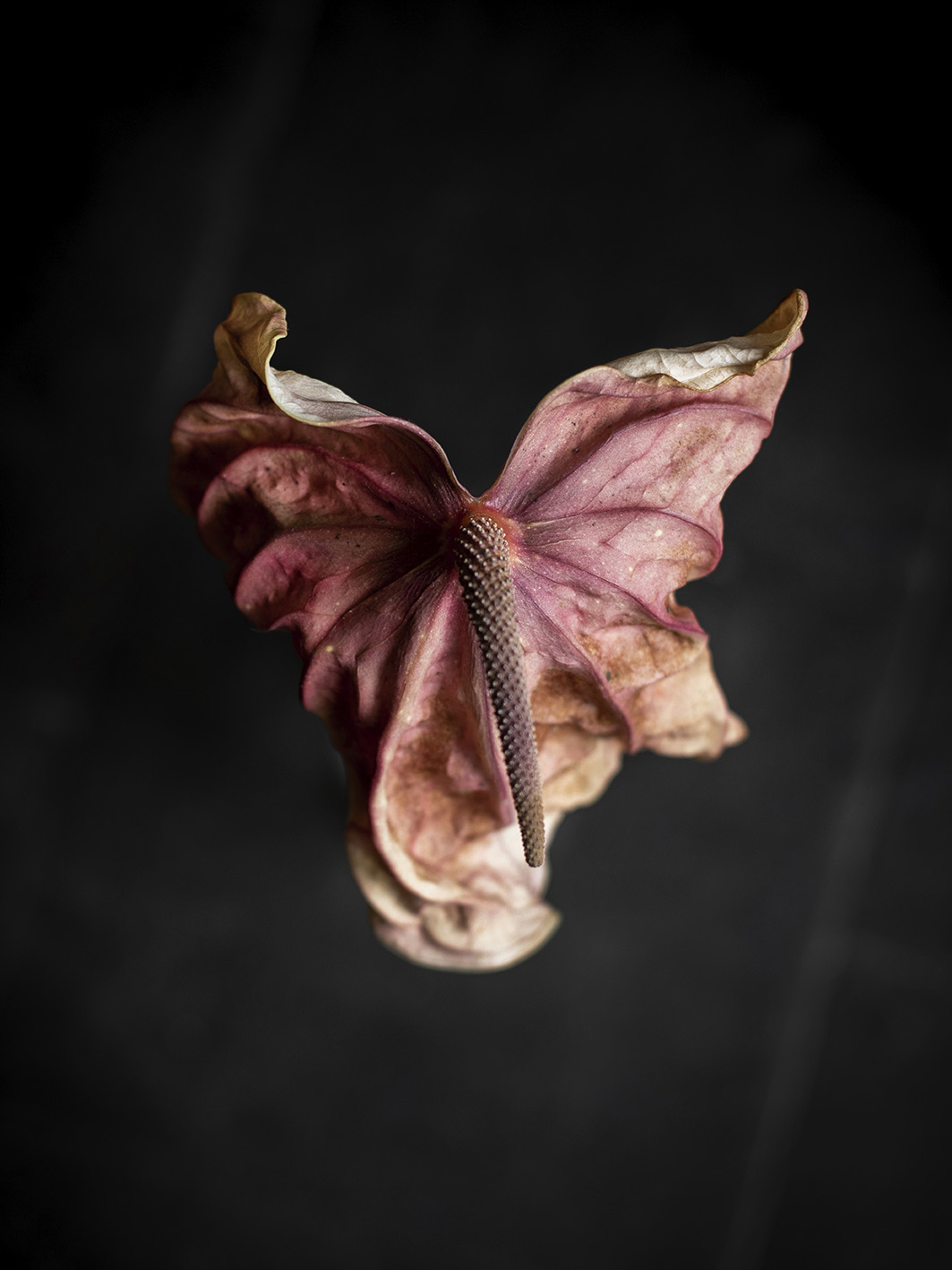 017